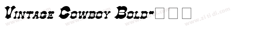 Vintage Cowboy Bold字体转换
